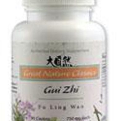 Gui Zhi Fu Ling Wan 90Caps, 750mg each